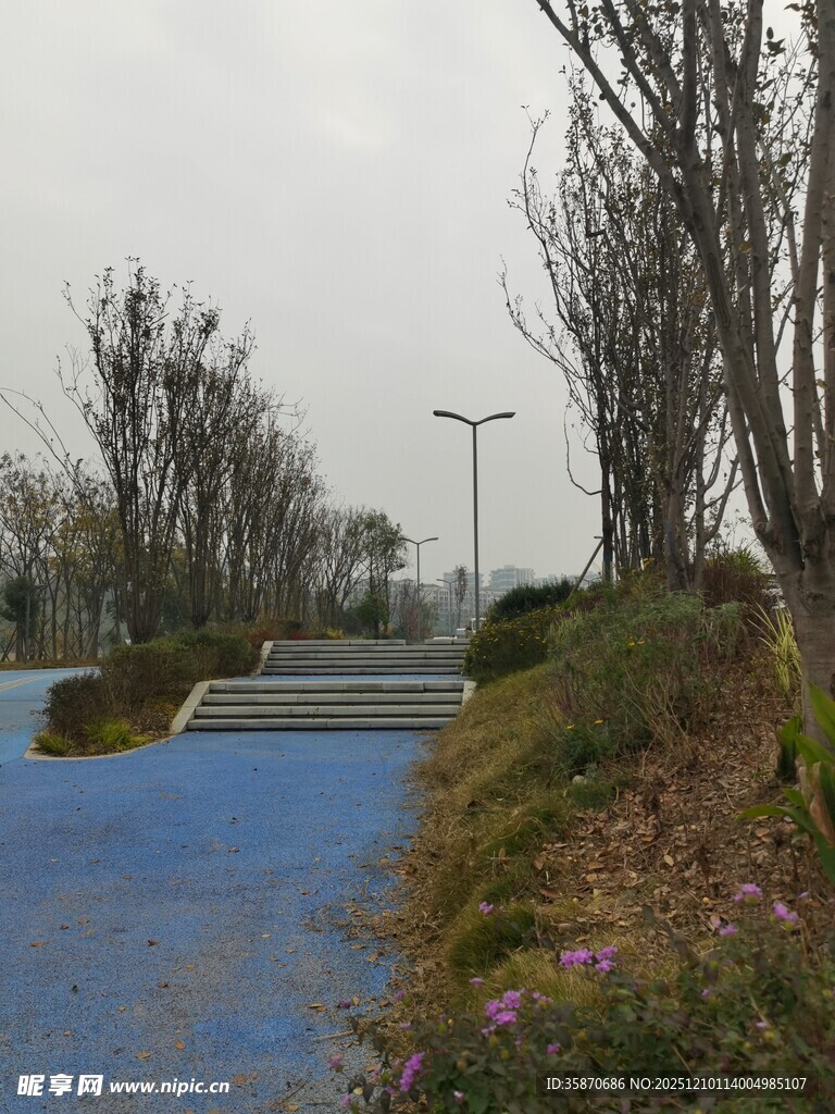 城市公园中的蓝色步道景观