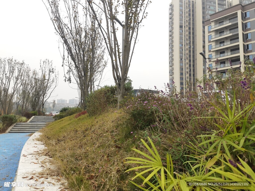 城市中的绿植景观小径