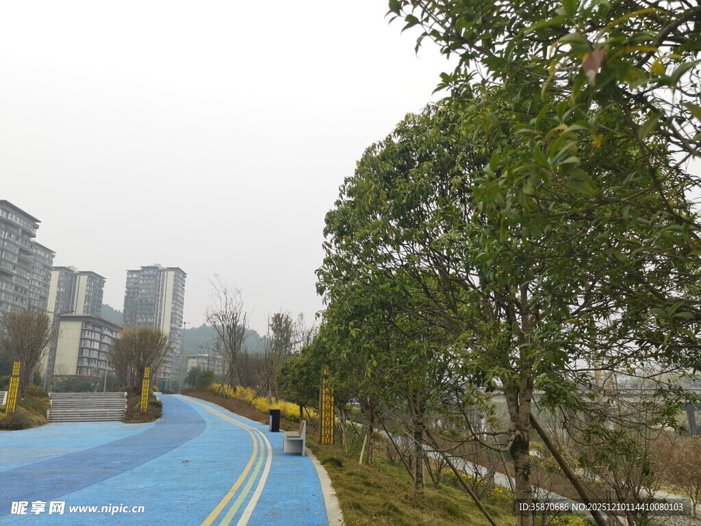 城市中蓝色步道与绿树景观
