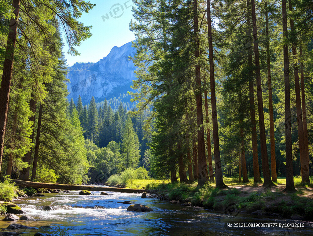 森林树木背景 阳光照射