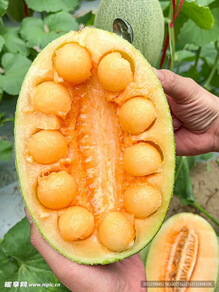 切开的香甜蜜瓜果肉饱满
