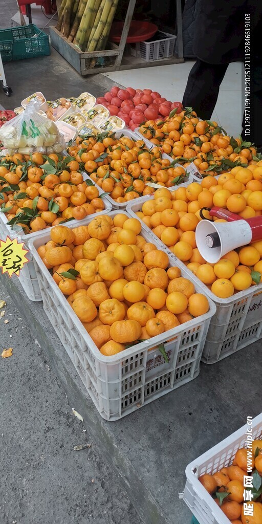 街头水果摊的多彩柑橘