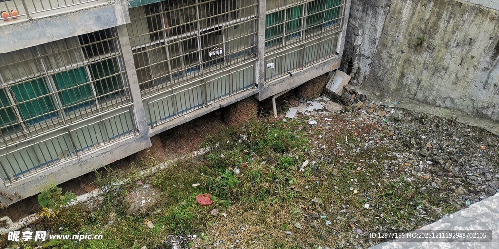 老旧楼房旁杂草丛生空地