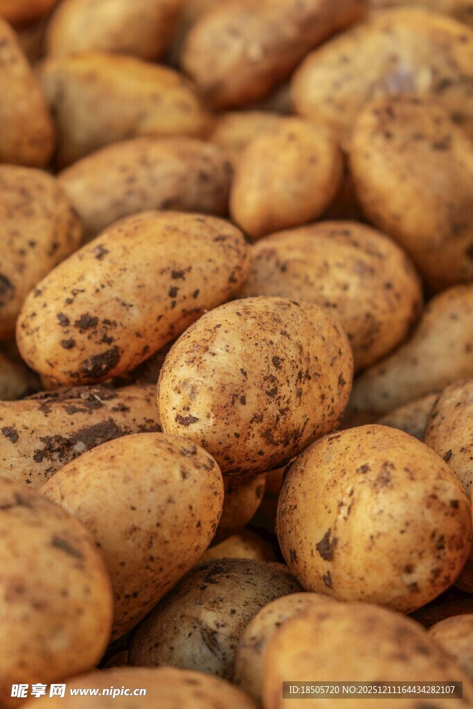 一堆新鲜的黄褐色土豆