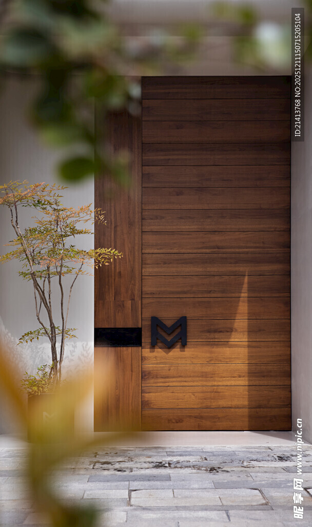 现代风格木质入户门设计