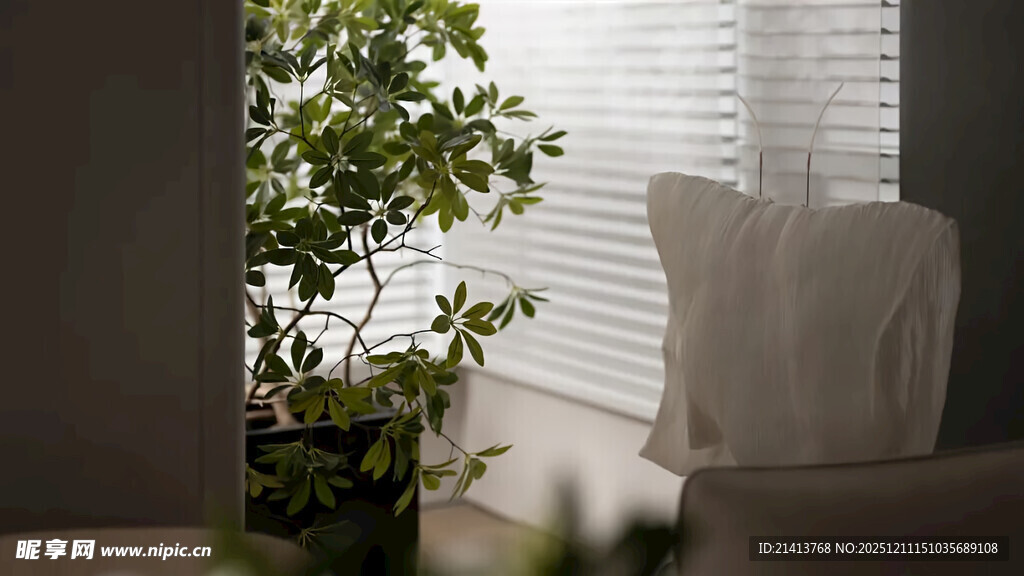 室内绿植与舒适家居角落
