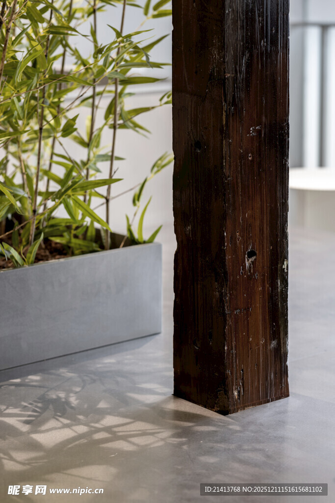 木质立柱旁的绿植景观