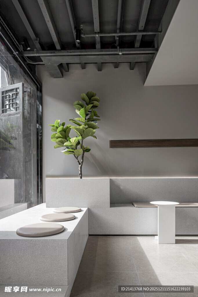 现代简约风室内绿植空间