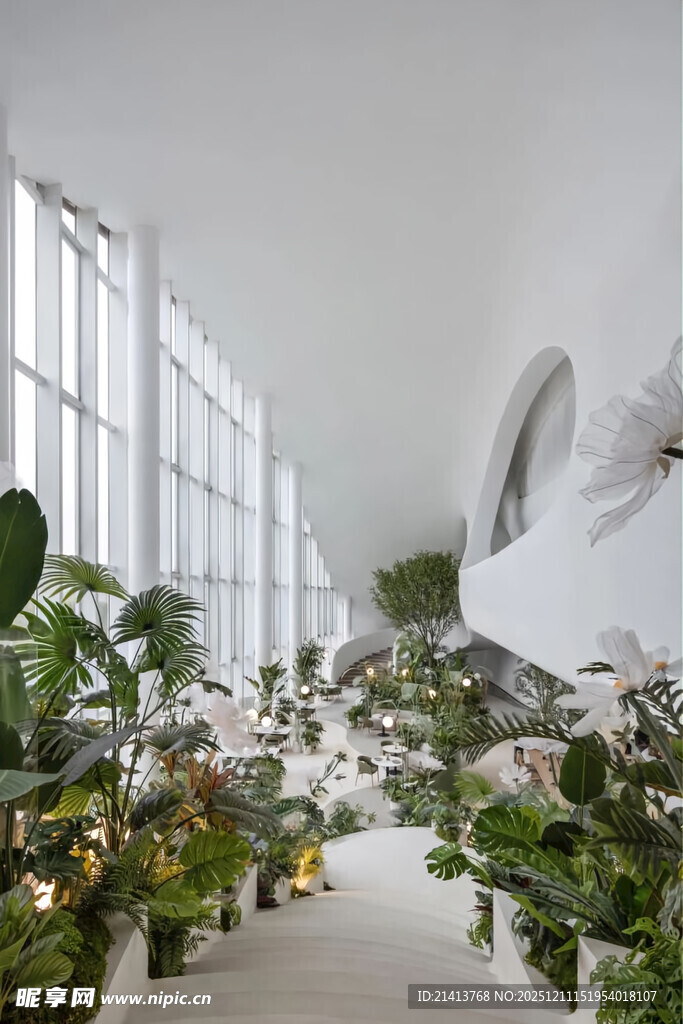 室内绿植环绕的清新空间