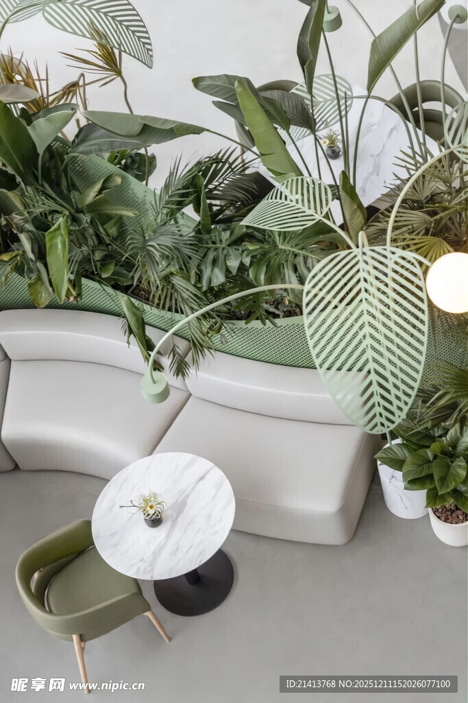 室内绿植装饰小景