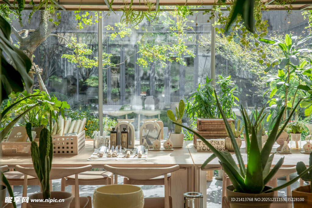 绿植环绕的雅致用餐空间