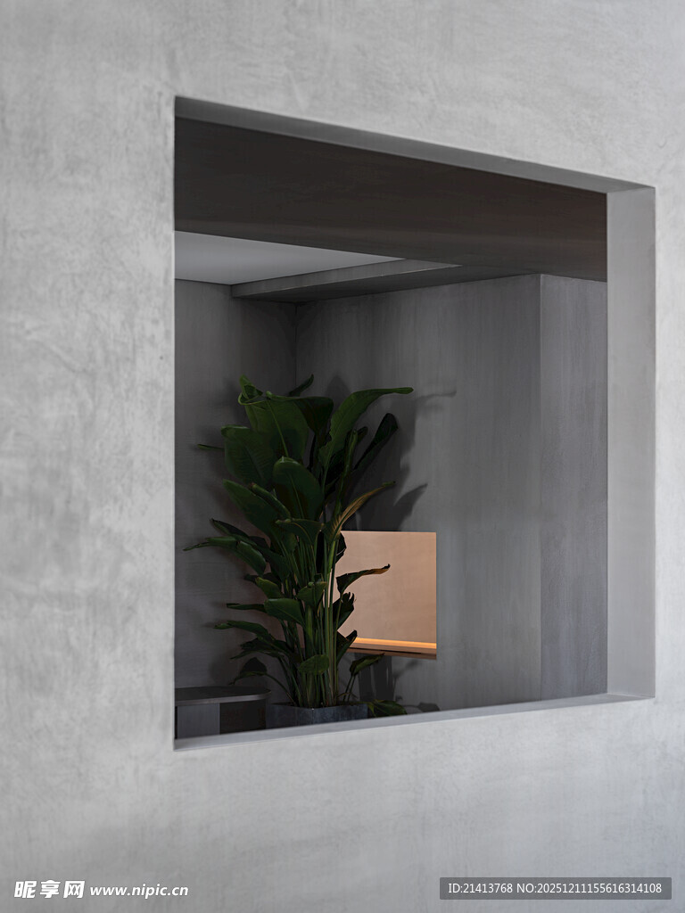 简约室内绿植装饰小景