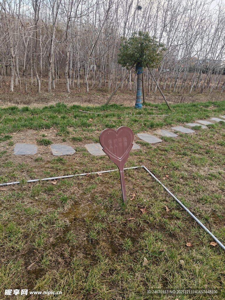 户外草地中的小径与标识牌