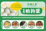 鹌鹑蛋海报设计
