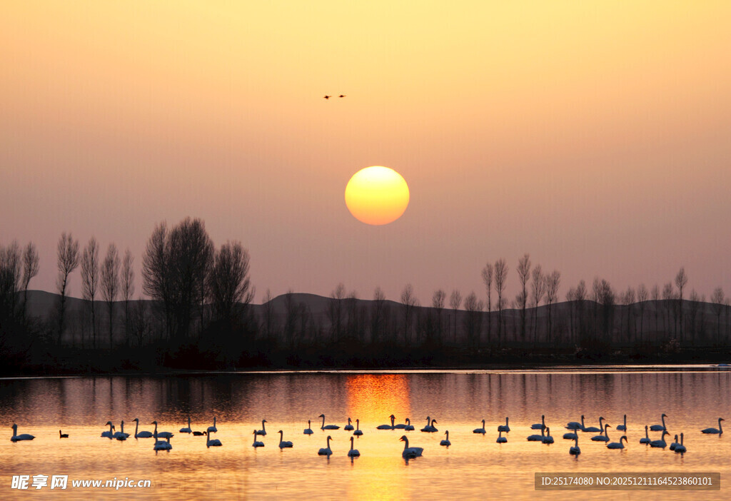 大美高台  夕阳下的天使