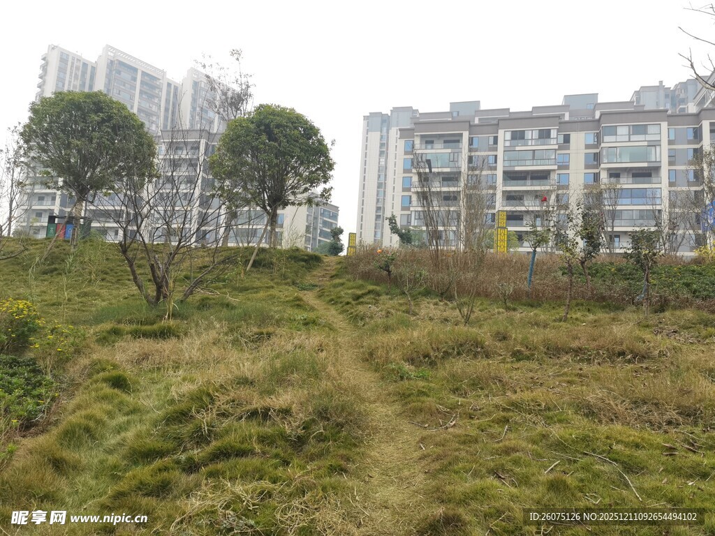 城郊荒地与远处居民楼