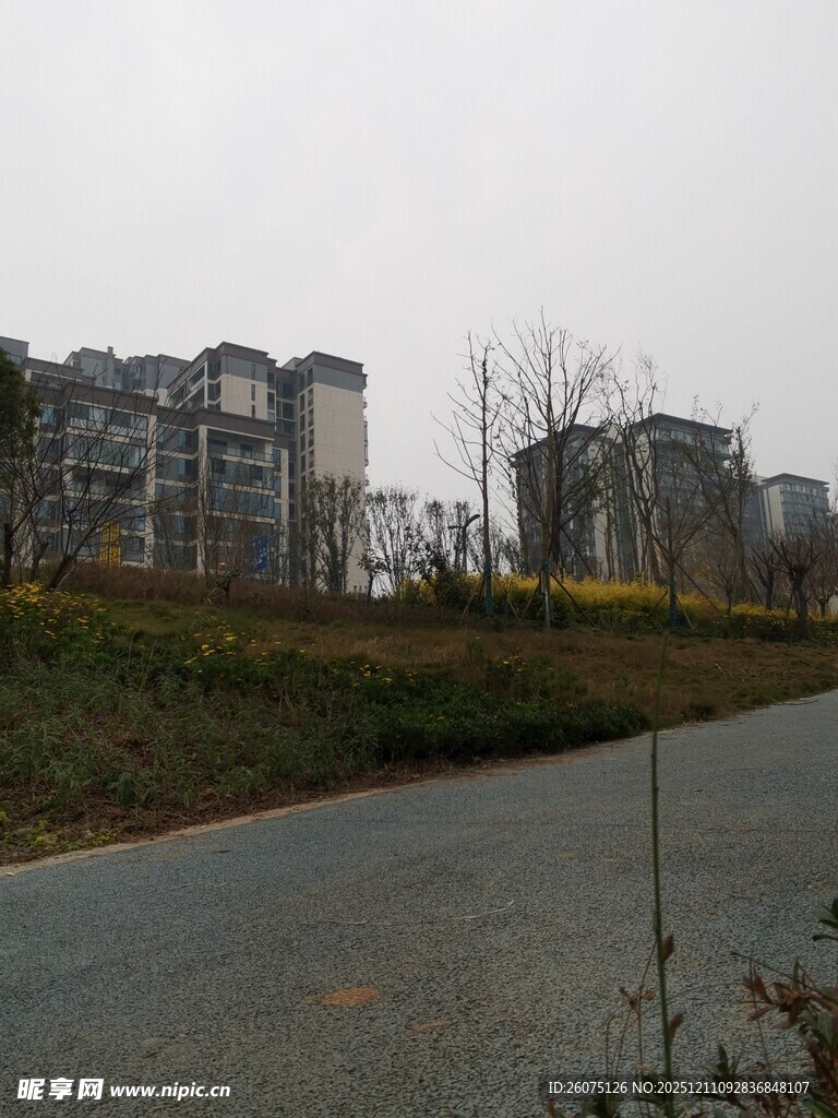 城郊道路旁的多层住宅区