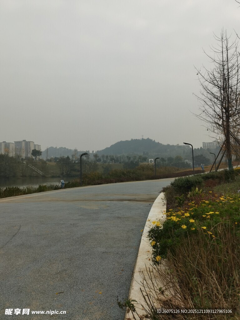 城郊空旷道路旁的自然景致