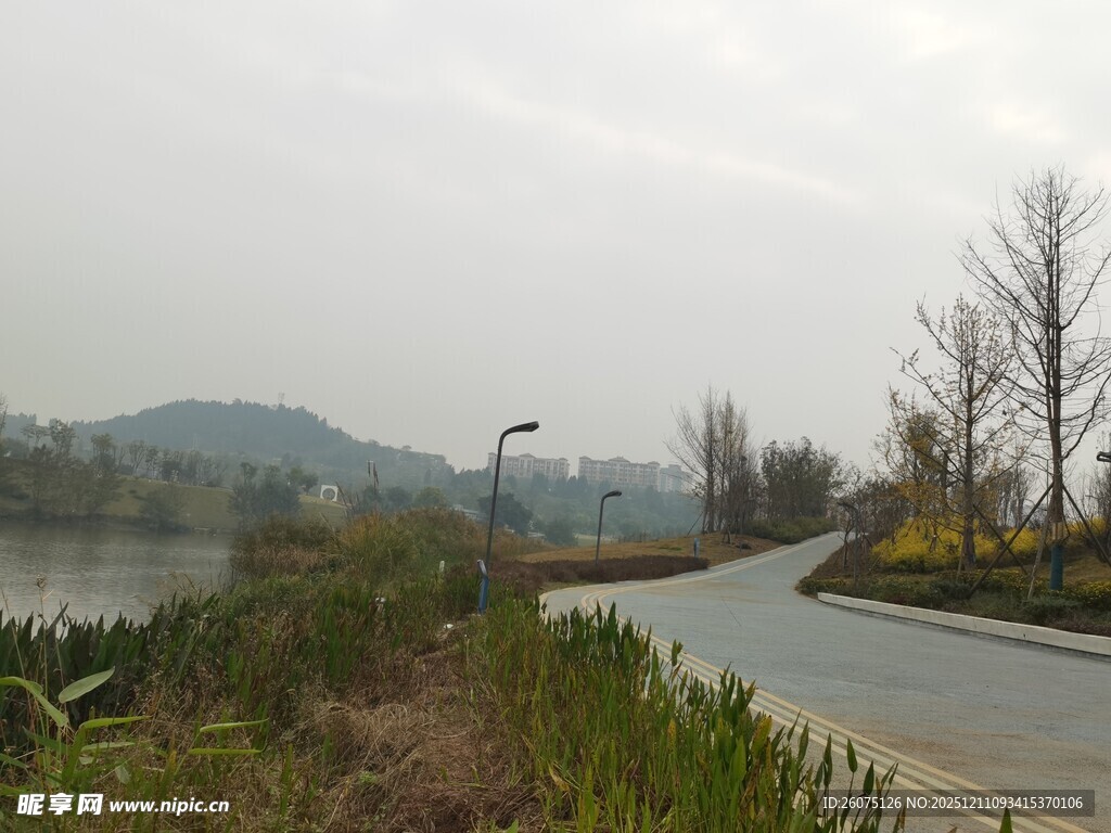 城郊宁静公路旁自然景致