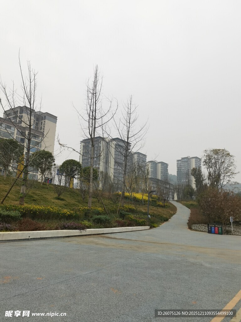 城郊道路旁的楼房景观