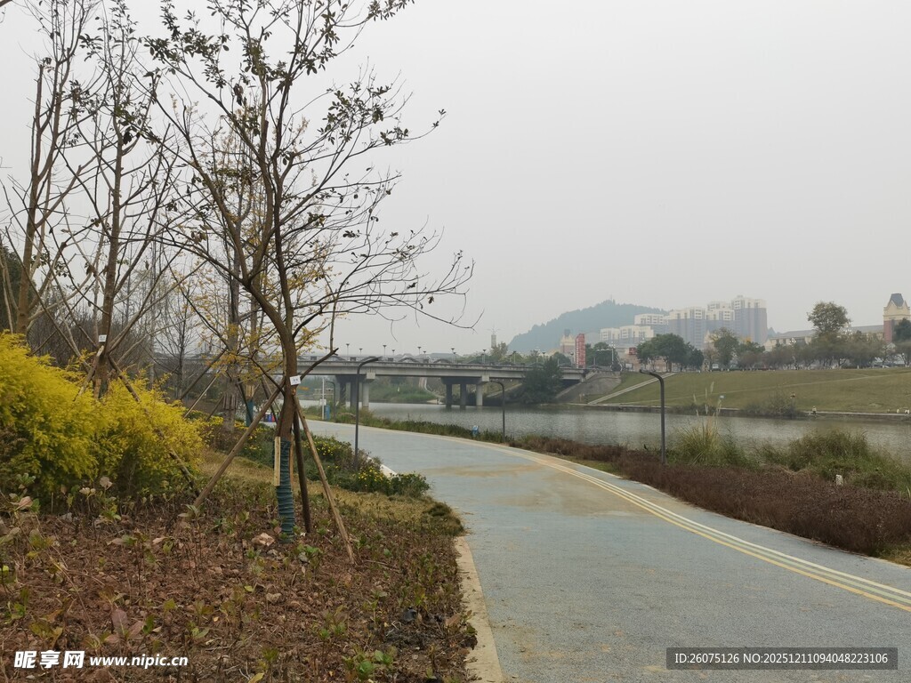 郊外蜿蜒小路旁的景致