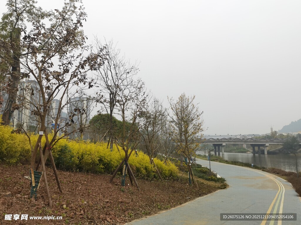 蜿蜒公路旁的春日景致