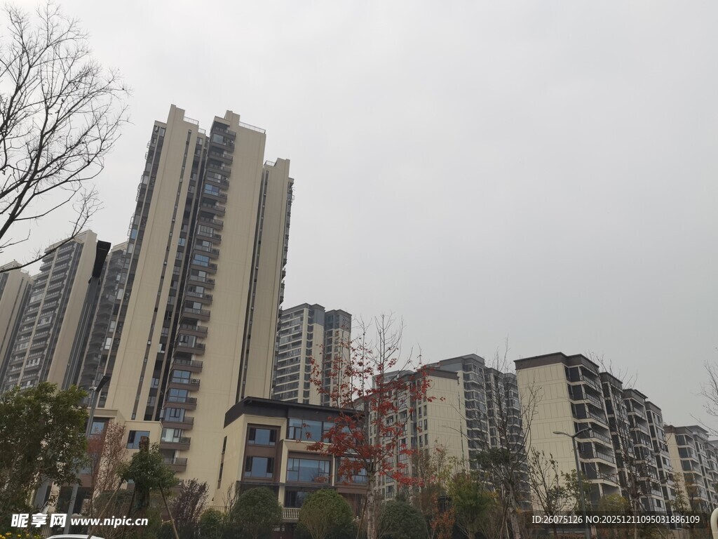 城市居民区高楼景观