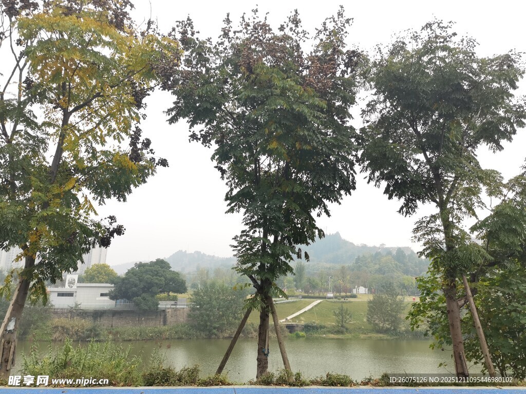 湖畔绿树成荫的自然景致