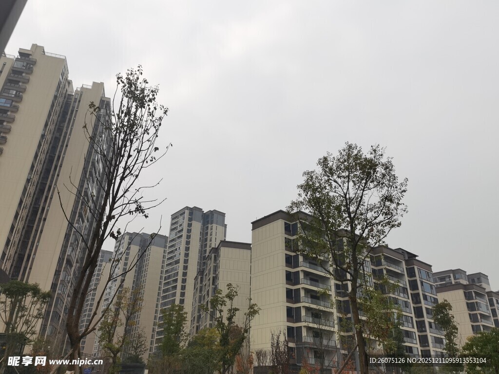 城市住宅区高楼与树木景观