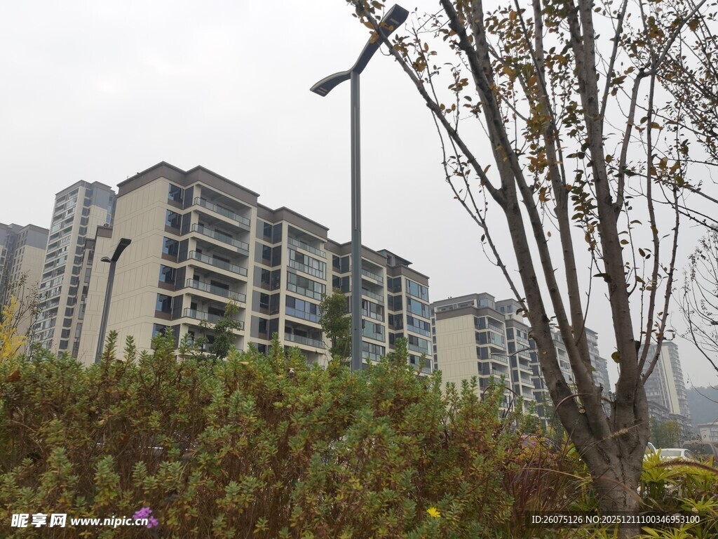 小区外景绿植与楼房相映