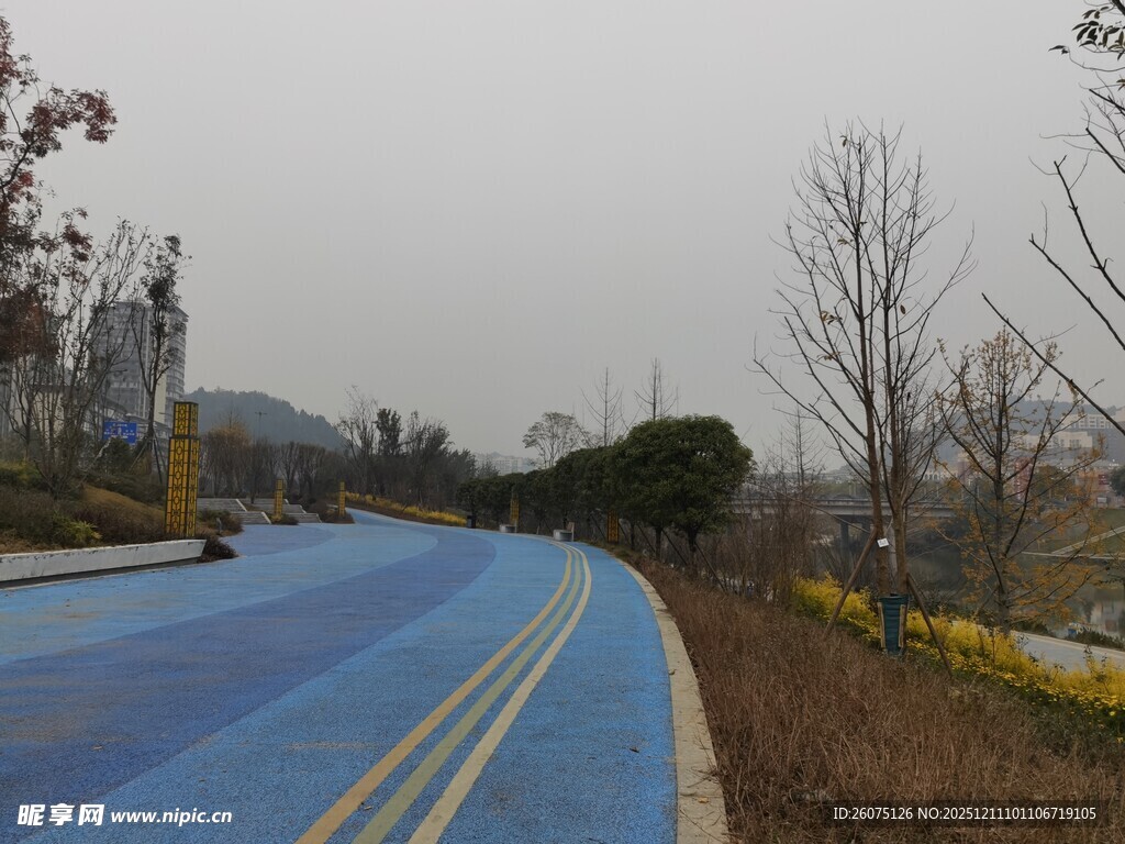 蓝色骑行道旁的自然风光