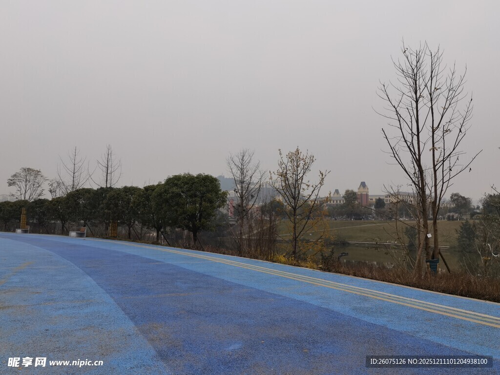 户外蓝色路面与树木景观