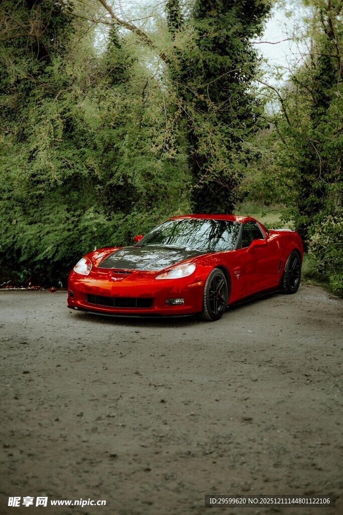红色跑车停于林间小道