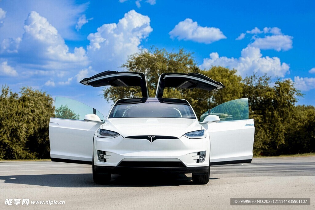 炫酷白特斯拉车门展开