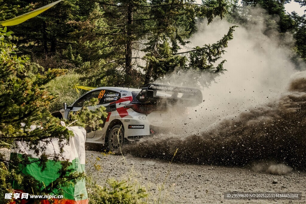 越野赛车在林间尘土飞扬