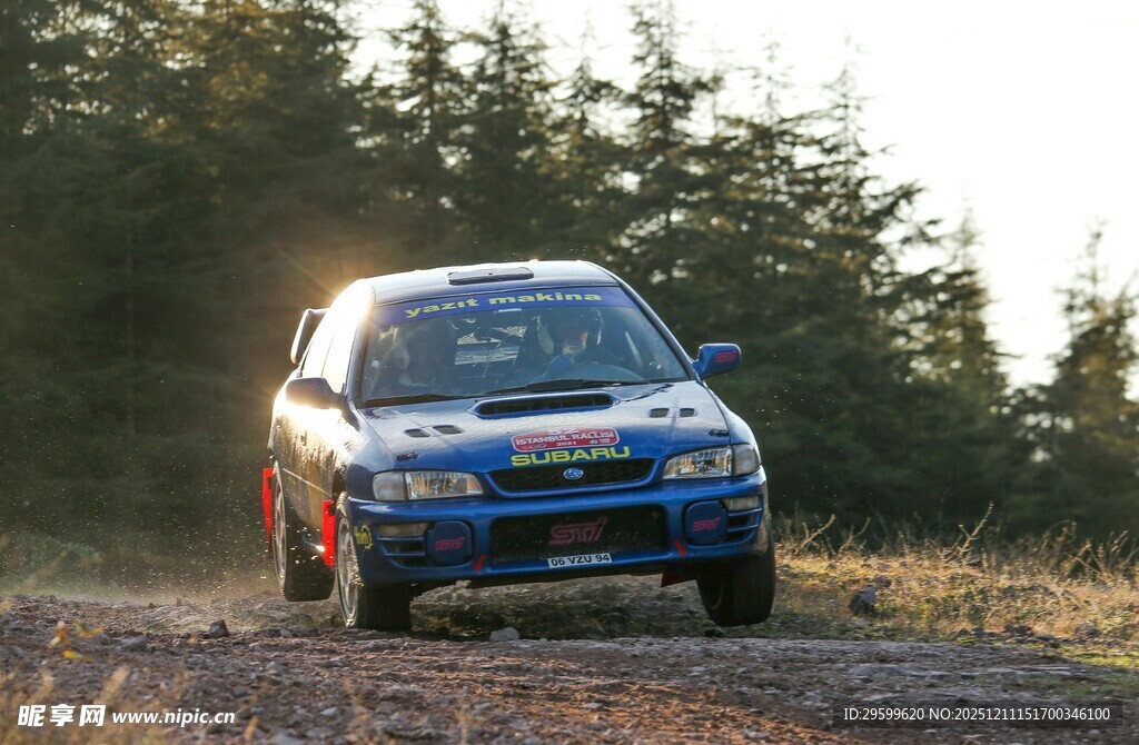 越野赛车驰骋于林间小道