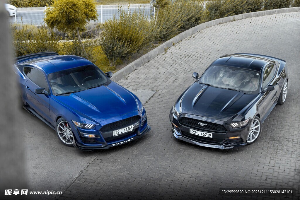 双车并驾于公路弯道