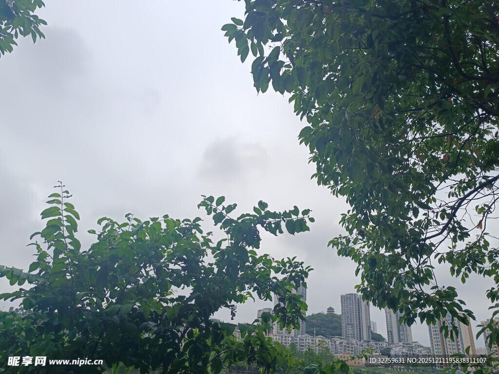 雾中城市与绿树景观