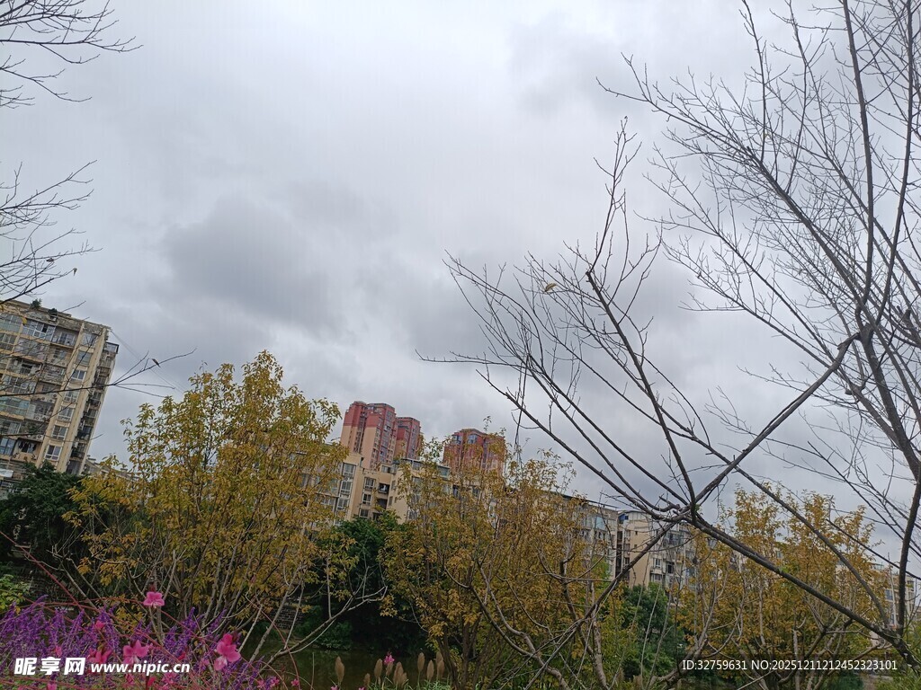 阴天中的城市绿植景观