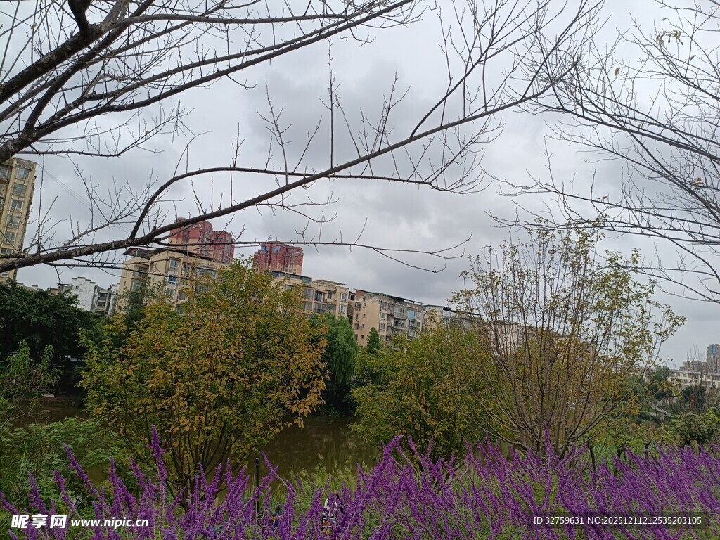 紫花绿树间的城市远景