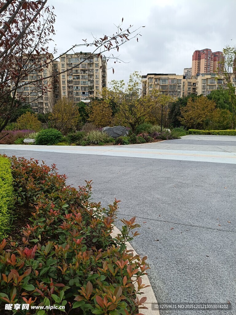 小区道路旁的绿植与建筑