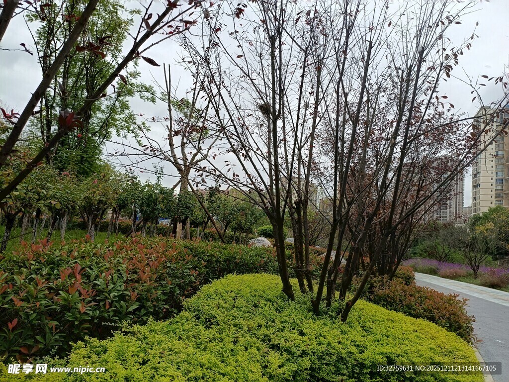 城市公园绿植小径景致