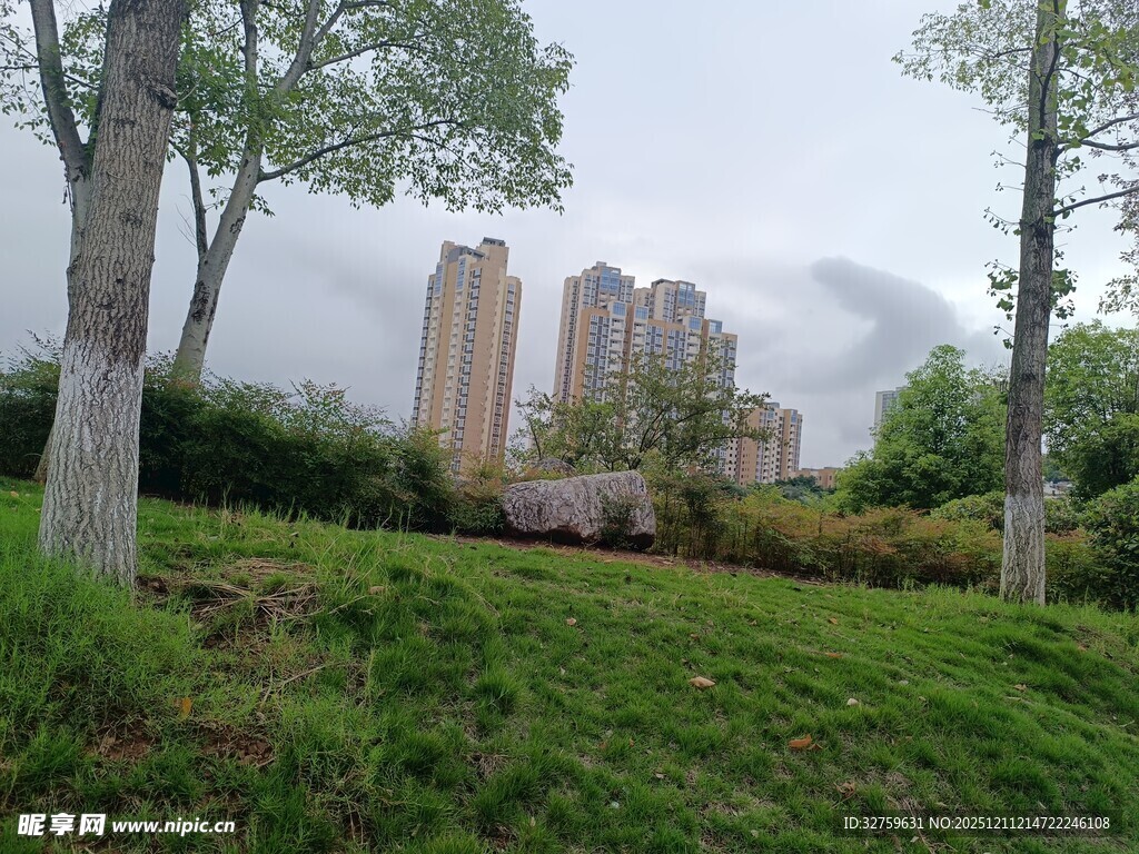 城市绿地旁的高楼景观