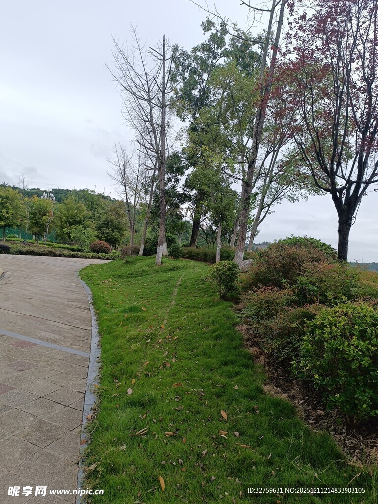 春日小径绿植景观