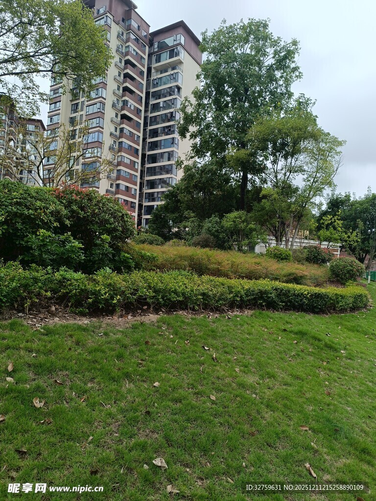 城市中的绿地与高楼景观