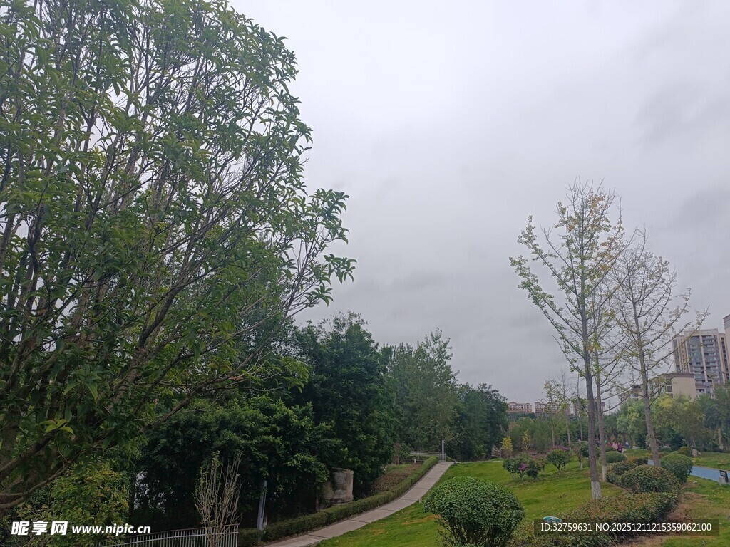 城市中的静谧林荫小道