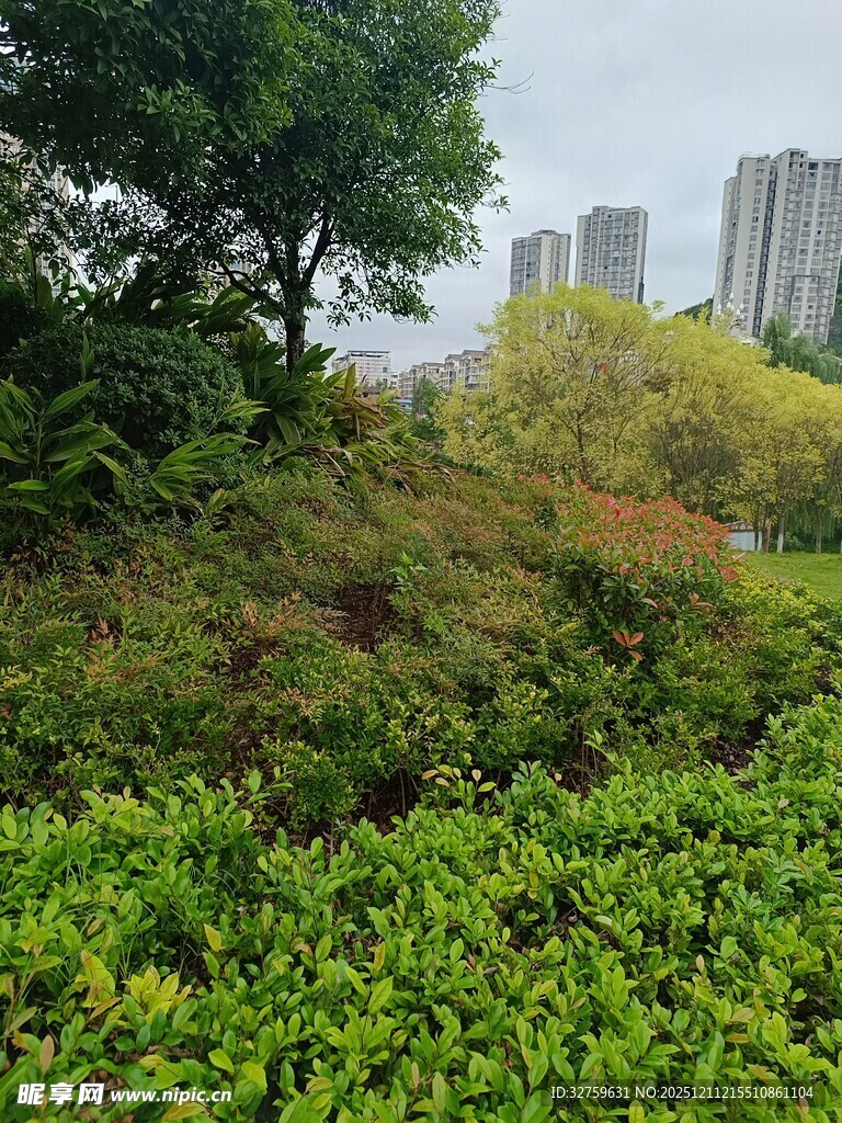 城市中的绿意盎然景观