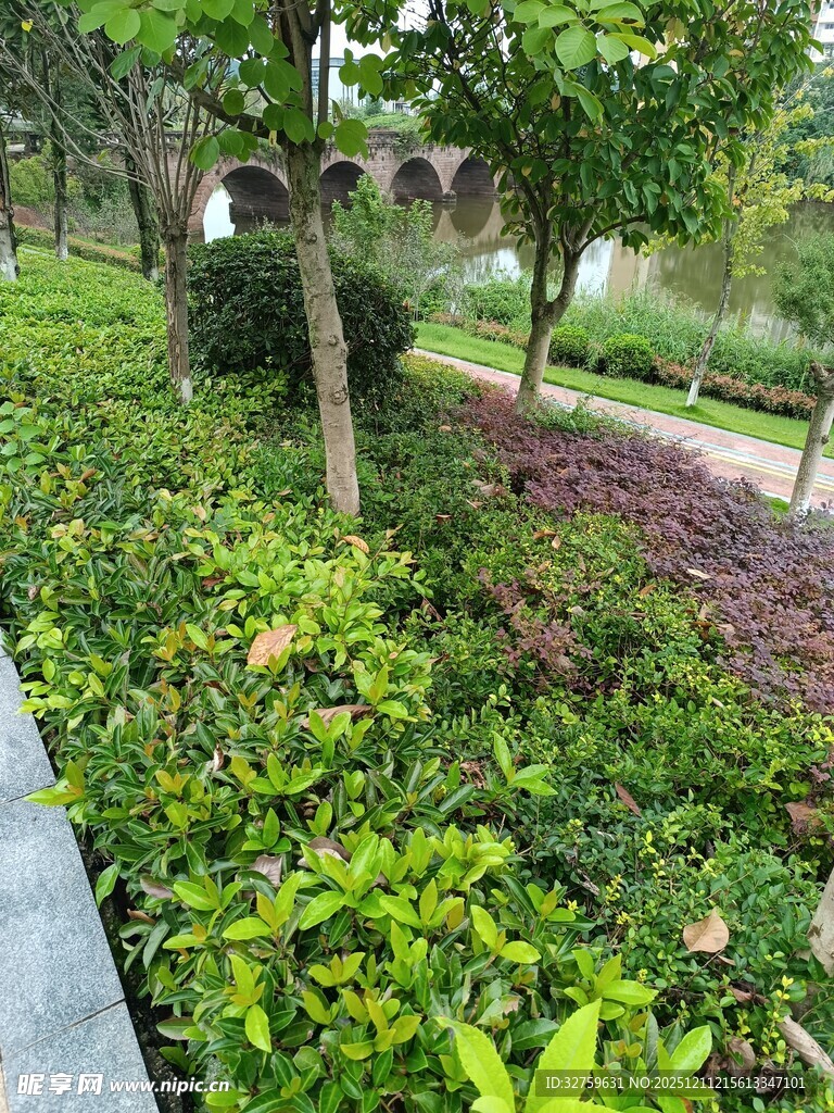 绿意盎然的城市园林景观