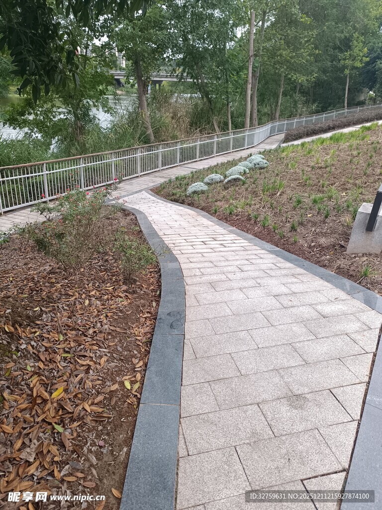 公园中的蜿蜒石板小径