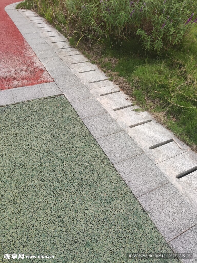 户外步道旁的绿植与地砖